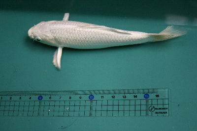 20071014 020t-400.jpg